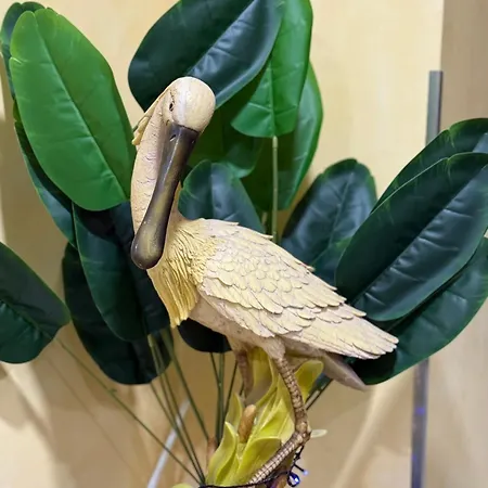 M&s Casa de hóspedes Tirana