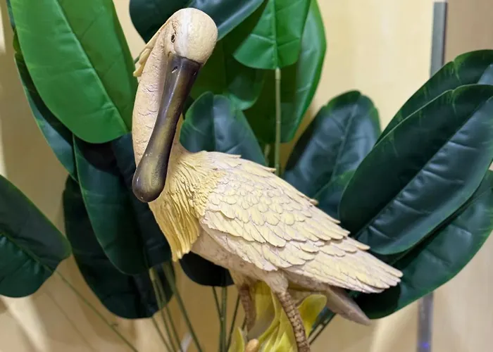 M&s بيت ضيافة تيرانا